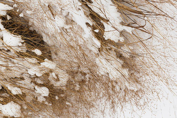 Photo Journal ValBeNeige